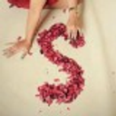 OpenCollective profile picture for @admiral