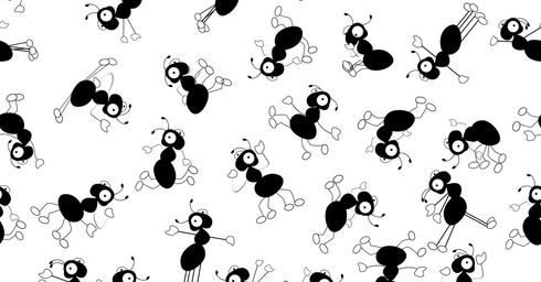 ants - Open Collective