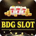 BDG Win