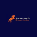 OpenCollective profile picture for @boomerang