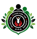 OpenCollective profile picture for @cad