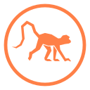 OpenCollective profile picture for @chimp
