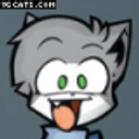 OpenCollective profile picture for @etam