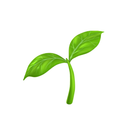 OpenCollective profile picture for @gardens