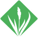 OpenCollective profile picture for @grass