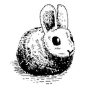 OpenCollective profile picture for @hare