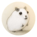 OpenCollective profile picture for @kj