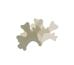 OpenCollective profile picture for @lichen