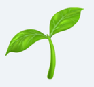 OpenCollective profile picture for @lizza