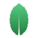 OpenCollective profile picture for @mint