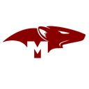 OpenCollective profile picture for @mongoose