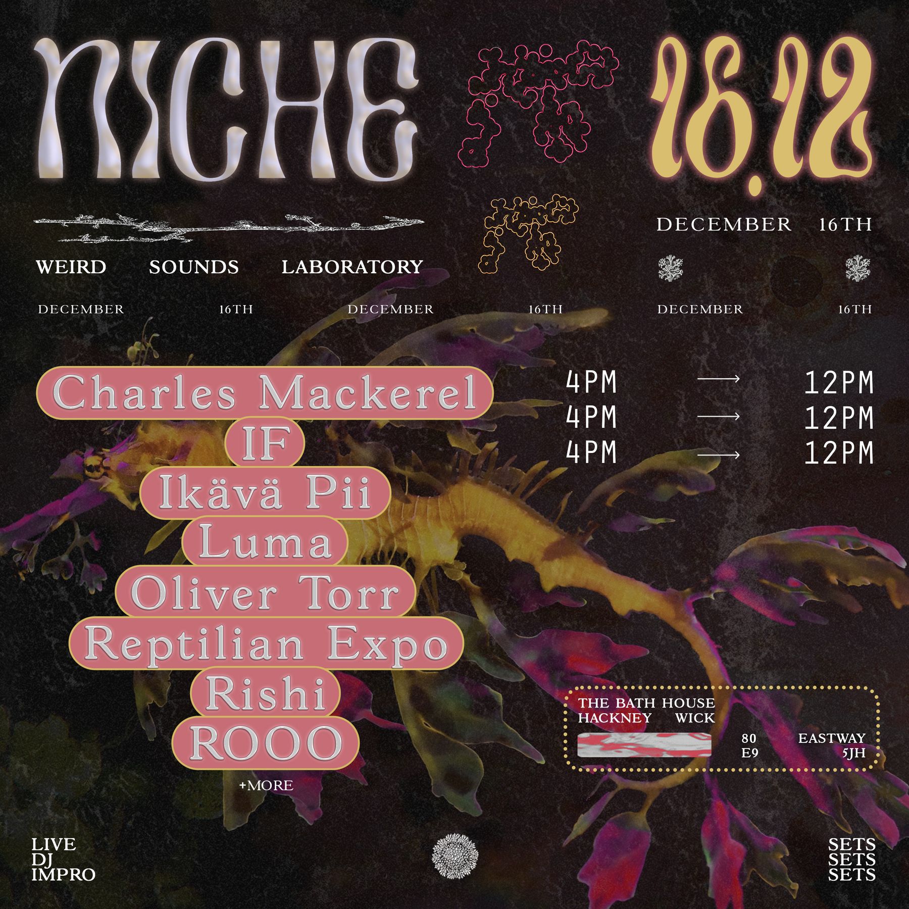 Niche 🍄 weird sounds laboratory 16.12