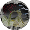 OpenCollective profile picture for @niche