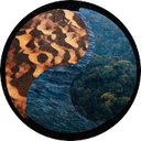 OpenCollective profile picture for @nile
