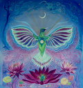 OpenCollective profile picture for @preservation