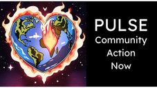 OpenCollective profile picture for @pulse