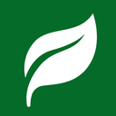 OpenCollective profile picture for @singular