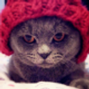 OpenCollective profile picture for @t
