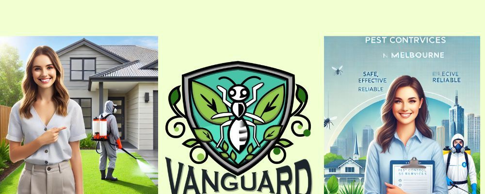 OpenCollective banner for @vanguard