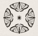 OpenCollective profile picture for @vessel