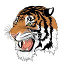 OpenCollective profile picture for @wallow